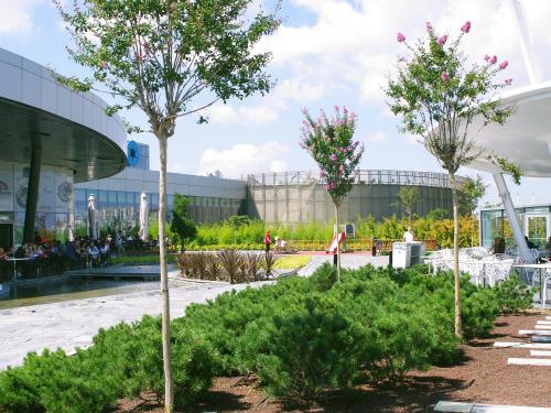 People sitting on a roof garden with walkways, blossoming small trees and shrubs